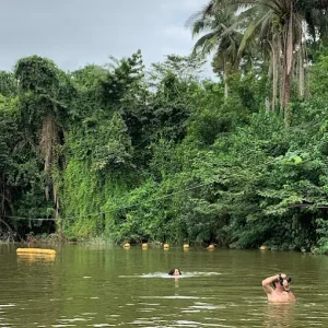 Bini Plélé – Randonnée, Piscine Naturelle & Buffet Ivoirien